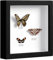 EUGAD 3D Cadre Photo Vitre en Plastique avec Papier Passe-Partout, Cadre en Bois Cadre de Boîte d'Ombre pour Objets jusqu'à 3cm, 30x30cm, Noir