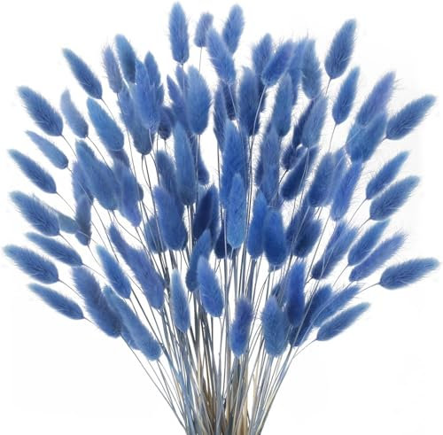 Minnhua 120 Pcs Trockenblumen Klein Pampasgras Natürliche Getrocknet Blumen Getrocknetes Schilfgras Klein für Hochzeit Hause Party Wedding Büro Fotografie Vase Deko Blau