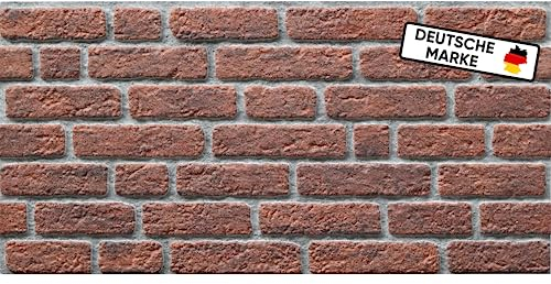 AS Country Stone® Wandverkleidung Steinoptik | 100x50x2 cm | 3D Effekt Wandpaneele Steinoptik für Küche und Wohnzimmer | Innen- und Außenbereich - 3D Wandpaneele - Akustikpaneele