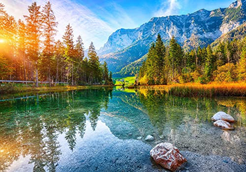 wandmotiv24 Fototapete Bergsee Alpen Wald, 200 x 140cm - selbstklebende Strukturtapete, Wanddeko, Wandbild, Wandtapete, Deutschland Berge Wasser Himmel M6746