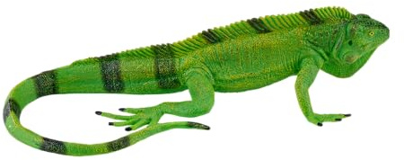 MOJO - Iguana | Hand-Painted Toy Figure | Wildlife Collection | True to Life & Highly Detailed | Designed in the UK