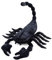 Lilizzhoumax Kaiser Skorpion Plüschtier 40cm/16 - Simuliertes Kawaii Tier Spielzeug für Wilde Tiere - Realistisches Geburtstagsgeschenk für Kinder