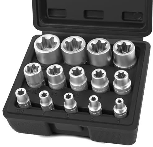 FIFIBANG 14pcs Coffret de Douille Torx en Forme Etoile 1/4 3/8 1/2, Douilles femelles E-Torx E4, E5, E6, E7, E8, E10, E11, E12, E14, E16, E18, E20, E22, E24, Douille de Profilés E Torx(Noir)