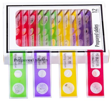 Kids Plastic Prepared Microscope Slides,Microscope Slides with Specimens,Slides for Microscope of Animals Insects Plants Flowers Sample Specimens for Students Adult Biology Science Programs,12 Pieces