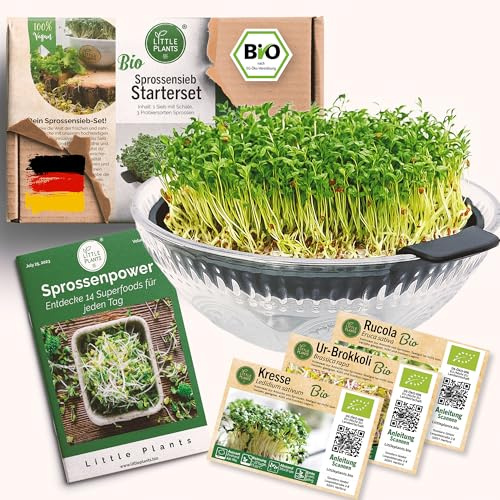 Little Plants Kresse Anzuchtschale Glas Set + 3 x Bio Sprossen Samen Kressesieb Keimschale Kresseschale cress inkl. Ebook (Anthrazit)