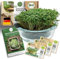 Little Plants Kresse Anzuchtschale Glas Set + 3 x Bio Sprossen Samen Kressesieb Keimschale Kresseschale cress inkl. Ebook (Anthrazit)