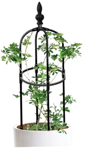 Garten-Obelisk-Spalier, 91 cm hoch, rund, rostfrei, Garten-Spalier, DIY-Pflanzenklettern, einfach zu montierende Pflanze für Töpfe, Kletterpflanzen im Innenbereich