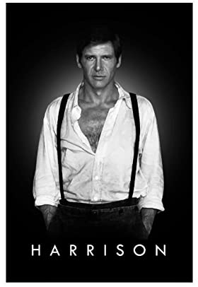 MOIT Star Harrison Ford Leinwand-Poster, Schlafzimmer, Dekoration, Sport, Landschaft, Büro, Raumdekoration, Geschenk, ohne Rahmen, 30 x 45 cm