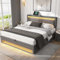 LTGB Ottoman Upholstered Bed 150x200cm, King Bed-5ft,With USB Port (Supports Wireless and Wired Charging), with LED Lighting and Storage Space, Without Mattress, PU-Lychee Design, Gray