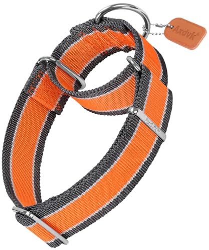 Axdvk Martingale Halsband für Hunde-4 cm Breites, 1600D Hochfestes Ausbruchssicheres Nylon-Halsband mit 3-Farben Streifen-Zugfest & Langlebig für Mittelgroße bis Sehr Große Hunde M, Orange & Grau