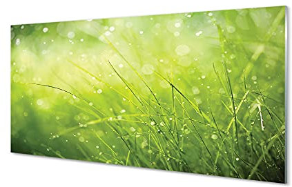 Tulup Acrylglas Bild Wandbild 140x70cm Wandbild Wassertropfen Dekoration Wohnzimmer Schlafzimmer - Grass Tautropfen