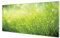 Tulup Acrylglas Bild Wandbild 140x70cm Wandbild Wassertropfen Dekoration Wohnzimmer Schlafzimmer - Grass Tautropfen