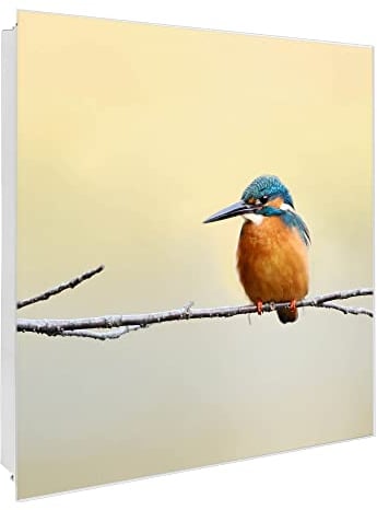 banjado® Großer Schlüsselkasten Glas/Schlüsselbox 30cm x 30cm mit 50 Haken - Motiv Pause/Schlüsselkasten modern für Schlüsselaufbewahrung mit beschreibbarer, magnetischer Glastür
