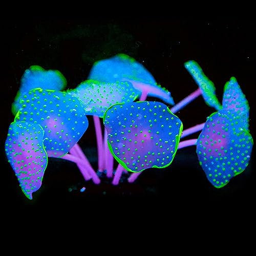 Plantes artificielles en silicone pour décoration d'aquarium
