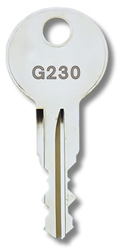bayesen Ersatzschlüssel nach Code G183 Kompatibel mit Thule, BMW, Audi, VW, Skoda, Ford, Volvo, MINI, Seat, Dachbox, Fahrradträger, Skiträger, Reling, Gepäckträger