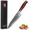 YARENH Couteau de Chef 20 cm, Couteau Cuisine Professionnelle, Couteaux de Cuisine à Lame en Acier Damas 73 Couches Avec Poignée en Bois, Couteau Damas HTT-Série