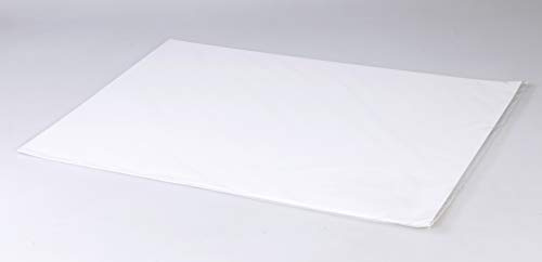 Clairefontaine 975194C Zeichenblock Lavis (10 Blatt, 250g, 42 x 59, 4cm, ideal für Nasstechnik und Lavierung, geleimt) weiß