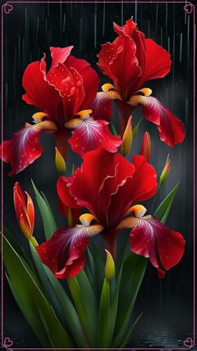 Ideal für deutsche Gärten,Winterharte für Innenräume und Gärten, winterharte,winterharte für garten, Iris, schwertlilie Rhizome-3 Rhizome-C
