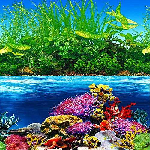 ELEBOX Hintergrundpapier für Aquarien, 50,8 x 121,9 cm, zweiseitig, bunt, Seegras, Wasserpflanzen, Aquarium-Hintergrundbild