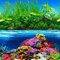 ELEBOX Hintergrundpapier für Aquarien, 50,8 x 121,9 cm, zweiseitig, bunt, Seegras, Wasserpflanzen, Aquarium-Hintergrundbild