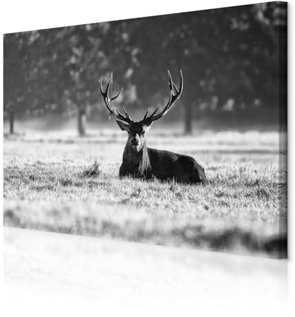 decomonkey Akustikbild Hirsch 90x60 cm 1 Teilig Leinwand Modern Bilder | Wandbilder XXL, Schallschlucker, Schallschutz, Akustikdämmung, Wandbild, Deko, Leise, Tiere, Hirsche, Felder, Bäume, Natur