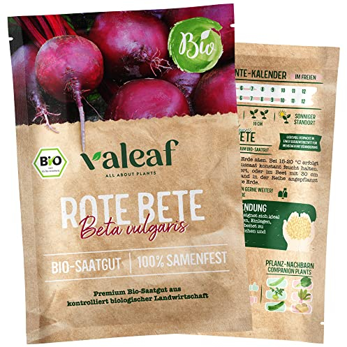 valeaf BIO Gemüse Samen I Premium Gemüsesamen zur Gemüse Anzucht im Garten, Balkon und Hochbeet I samenfestes Gemüse Saatgut I Pflanzen Samen zum Gemüse Pflanzen (Rote Bete (BIO))