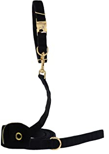 Hundeleine Set bestehend aus Leine, Kotbeutelspender und Hundehalsband, Samtstoff für liebevolle Hundeeltern in ✪ Größe L ✪ Halsband 2,5 cm Breite 45-66 cm Länge - Leine 2,5 cm Breite 1,8 m Länge