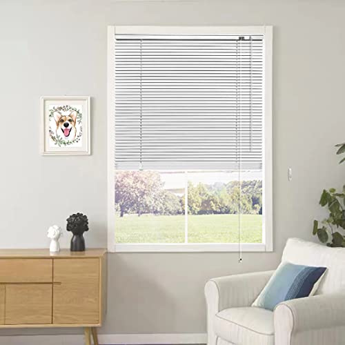 YIIBAII Mini-Jalousien, geeignet für 67,3 cm B x 162,6 cm H, Fenster, 2,5 cm, horizontale Aluminium-Jalousien, Verdunkelung mit Seil und Stange, kann innen oder außen montiert werden