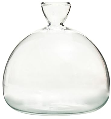Luckxing Aufzucht-Glas Für Avocados Und Kastanien, Avocado Baum Blumenvasen Aus Glas, Klarglasvasen Für Blumen, Avocado Baum Anbau Kit, Hochwertiges Keimglas Aufzuchtset Für Kerne, Samen, Keime