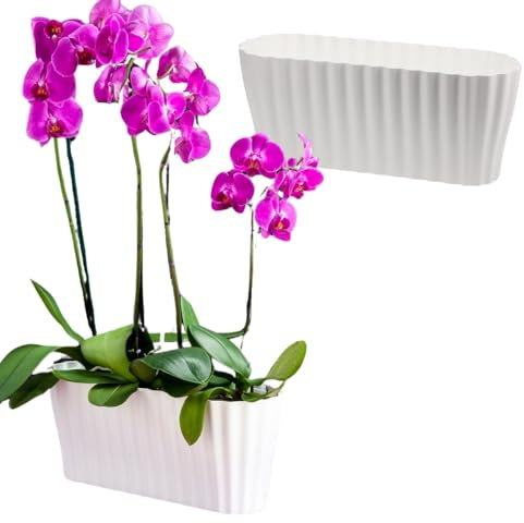 GarPet 2X Orchideentopf Orchideen Übertopf Pflanztöpfe Übertöpfe für Orchideen aus Kunststoff Innen Elegant Orchideentopf groß weiß