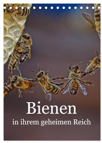 Bienen in ihrem geheimen Reich (Tischkalender 2026 DIN A5 hoch), CALVENDO Monatskalender: Die Geheimnisse des Bienenstocks (CALVENDO Tiere)