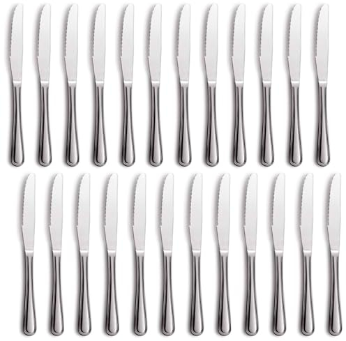 Acan Tradineur - Pack de 24 Cuchillos de Mesa para Carne, Acero Inoxidable, Cubiertos clásicos con Hoja de Sierra, Aptos para lavavajillas - 22,5 cm
