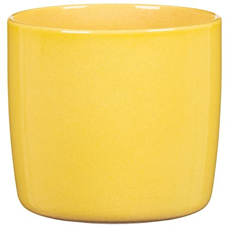 Scheurich Solido, Blumentopf aus Keramik, Farbe: Solare, 17,6 cm Durchmesser, 16 cm hoch, 3,1 l Vol.
