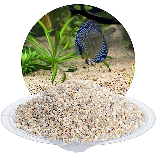 Schicker Mineral Aquariumkies beige 2,0-3,15 mm 5 kg, Naturkies gewaschen, entstaubt, keimfrei, ungefärbt, kantengerundeter Bodengrund, Kies für Süßwasseraquarien, Meerwasseraquarien und Aquascaping