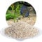 Schicker Mineral Aquariumkies beige 2,0-3,15 mm 5 kg, Naturkies gewaschen, entstaubt, keimfrei, ungefärbt, kantengerundeter Bodengrund, Kies für Süßwasseraquarien, Meerwasseraquarien und Aquascaping