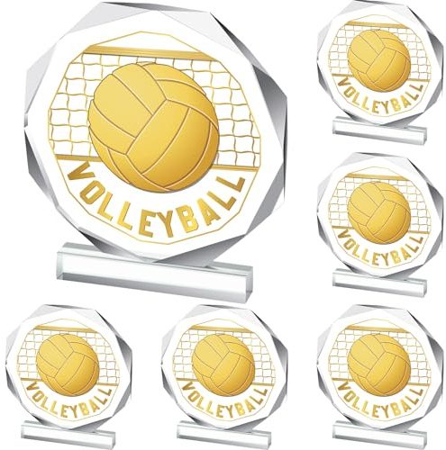 Anglechic Sport-Trophäe aus Acryl, 12,9 x 12,9 cm, Sportwettbewerb, Pokal, Preis, Geschenk für Kinder und Erwachsene, Team-Teilnahme-Trophäen für Wettbewerbspreis (Volleyball), 6 Stück