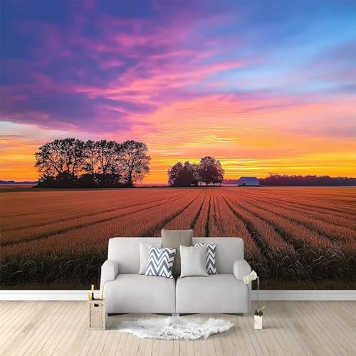 Papier Peint Panoramique 3D Paysage De Champ De Blé Au Coucher Du Soleil 350x256 cm Papier Peint Photo Mural Intissé, Poster Tapisserie Mural Personnalisé 3D Pour Salon Chambre Décoration Murale