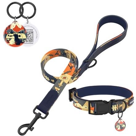 PawView Halsband und Leine Set Hund – Verstellbar, mit QR-Code Hundemarke ideal für tägliche Spaziergänge, künstlerisches Set für Welpen & Erwachsene Hunde L (Halsumfang: 41 –66 cm, Leine: 1.8 m) DE