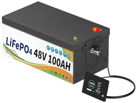 Pacco batteria al litio LiFePO4 da 48 V e 100 Ah con monitor BMS, oltre 8000 cicli for camper, barche a motore elettrico, ecoscandagli, furgoni solari