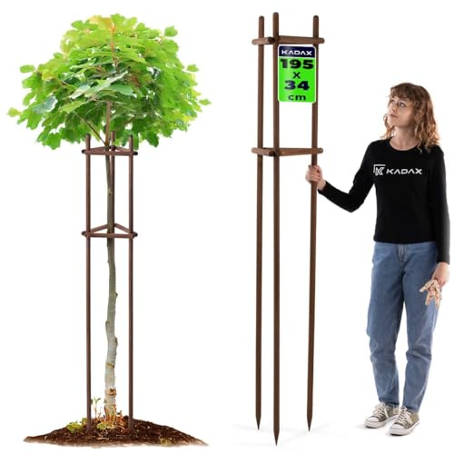 KADAX Baumstütze 195 cm aus robustem Holz, Baumpfahl zur sicheren Fixierung junger Bäume & Sträucher, dreibeinige Pflanzenstütze aus Buchenholz für Garten
