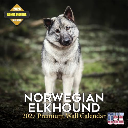 Norwegischer Elchhund Kalender 2022 2023,Hunderasse Monatlicher Wandkalender,12x24 offen,Dickes kein Auslaufen Papier,Geschenkbar,Akademischer Lehrerplaner Kalender Organisieren & Planung,Made in USA