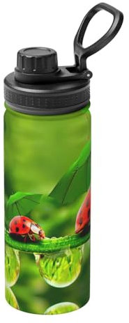 Funny Ladybug Holding Umbrellas Print Vacuum Insulated Sports Water Bottle,18 Oz Stainless Steel Water Bottle for Gym Home Sports