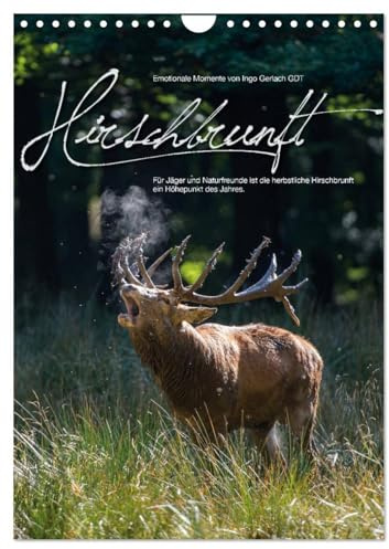 Emotionale Momente: Hirschbrunft (Wandkalender 2026 DIN A4 hoch), CALVENDO Monatskalender: Der König der Wälder in dramatischen und wunderschönen Bildern. (CALVENDO Tiere)