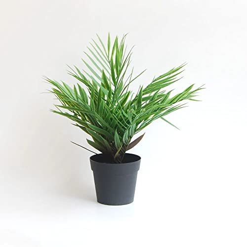 BLAINE Palmera Artificial, Elaboradas con los Mejores Materiales, Ideal para Decoración, Planta Artificial 40cm