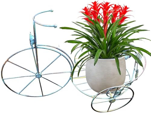 CUCUFA Bicycle Planter, Vintage Metal Tricycle Plant Stand, Rustproof Outdoor Flower Stand, 20.1x10.2x14.2 Tricycle Planter for Outdoor Home Garden Patio, tricycle planter