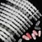 FLOFIA 240 Stück Nail Art Tips Präsentation Nail Art Display Fächer Nagelspitzen Praxis Nagellack Präsentation Fächer Transparent