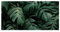 Scenolia Brise Vue Feuillage Vert Croissance VEGETALE, 300 x 150 cm (LxH), 100% occultant, Made in France Colliers de Fixation offerts