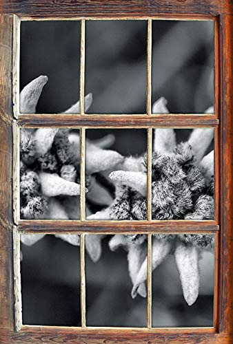 KAIASH 3D Wandsticker Monocrome Weißes Edelweiß Fenster im 3D Look Wand oder Türaufkleber Wandsticker Wandtattoo Wanddekoration 62x42cm