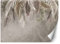 Feeby Papier Peint Mural 3D Palmier 254x184 cm - Décoration Murale Panoramique Nature - Tapisserie Murale
