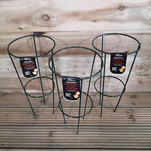 Pack of 3 Green Conical Garden Plant Support Ring 20cm- Small Home Garden Garden & Patio Plant Care, Soil & Accessories Plant Ties & Supports